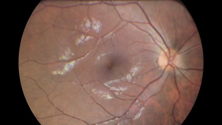 image_2026-02-11_011137601