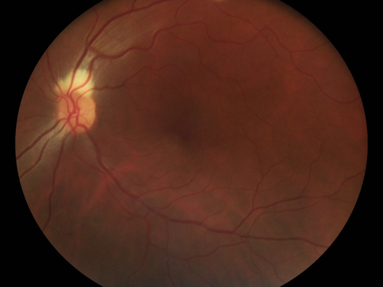 image_2026-02-11_011526353