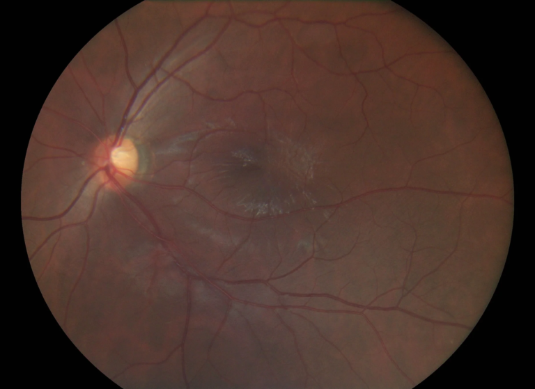 image_2026-02-11_011533176