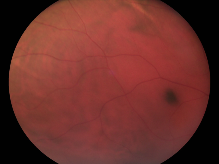 image_2026-02-11_011555152