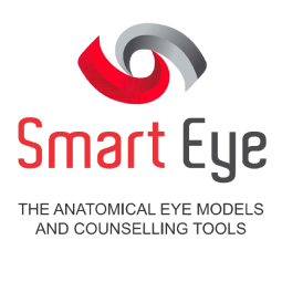 Smart eye
